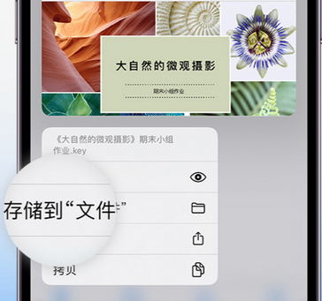 川汇apple维修中心分享iPhone文件应用中存储和找到下载文件