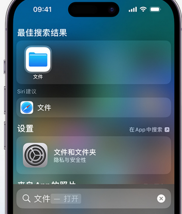 川汇apple维修中心分享iPhone文件应用中存储和找到下载文件 