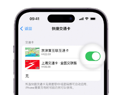 川汇apple维修点分享iPhone上更换Apple Pay快捷交通卡手绘卡面 