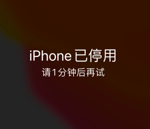 川汇苹果手机维修分享:iPhone 显示“不可用”或“已停用”怎么办？还能保留数据吗？ 