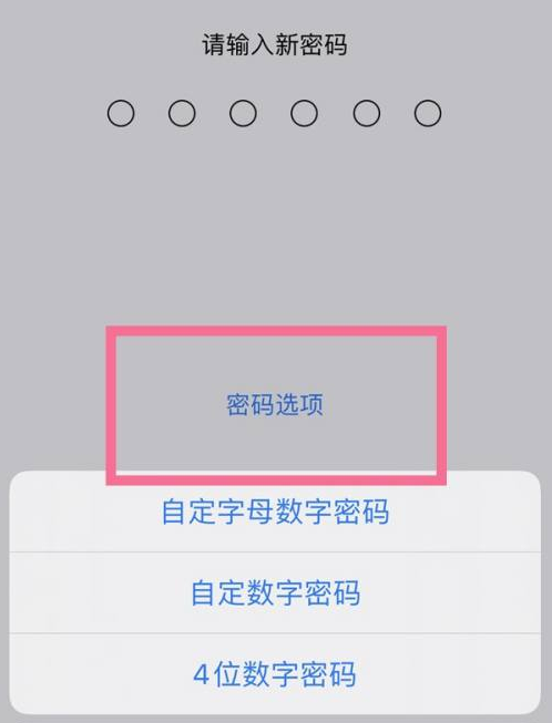 川汇苹果14维修分享iPhone 14plus设置密码的方法 