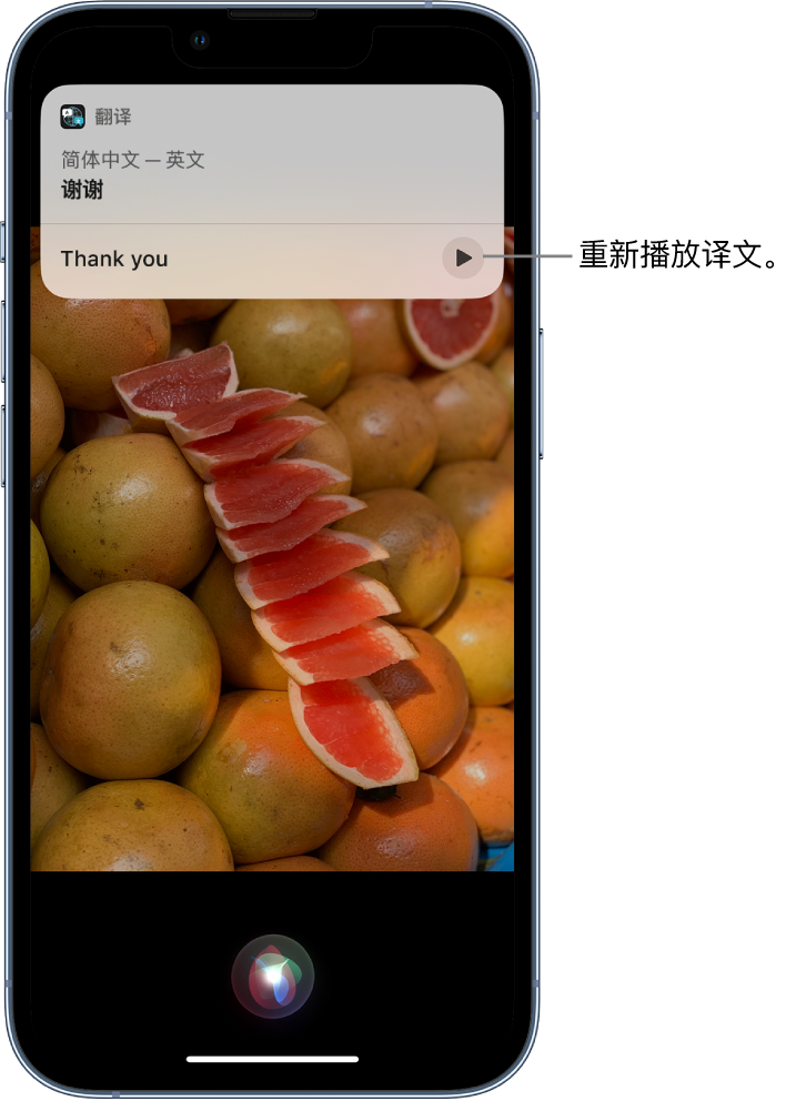 川汇苹果14维修分享 iPhone 14 机型中使用 Siri：了解 Siri 能帮你做什么 