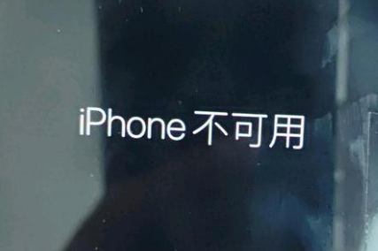 川汇苹果服务网点分享锁屏界面显示“iPhone 不可用”如何解决 