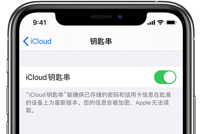 川汇苹果手机维修分享在 iPhone 上开启 iCloud 钥匙串之后会储存哪些信息 