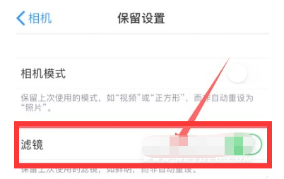 川汇苹果13维修分享iPhone13拍照有绿点是怎么回事 